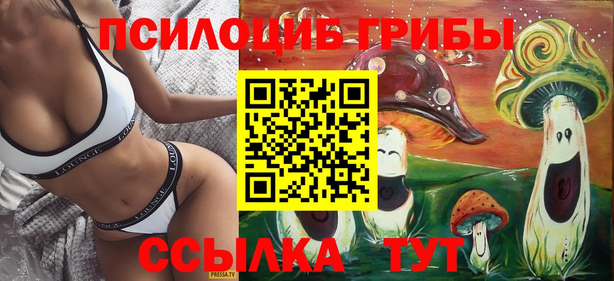 Вольск  Галлюциногенные грибы Magic Shrooms  Вход с VPN  Псилоцибиновые грибы Psilocybe 